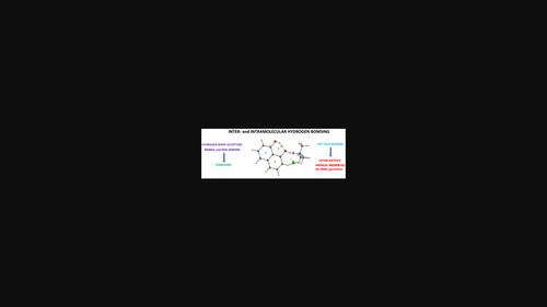 Cooperativity and topological hydrogen bonding in aromatic diol complexes