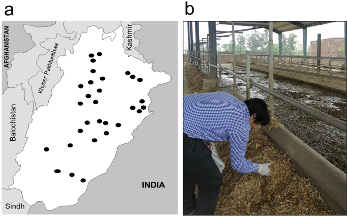 Co-occurrence of mycotoxins and other fungal metabolites in total mixed rations of cows from dairy farms in Punjab, Pakistan.