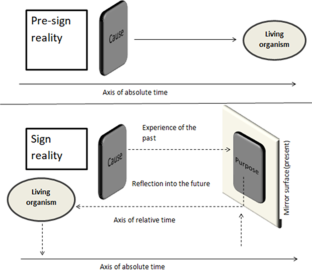 Time Transformation in the Sign System of the Conditioned Reflex