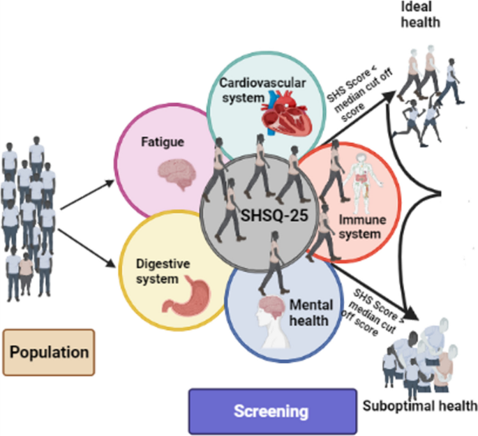 Conceptualised psycho-medical footprint for health status outcomes and the potential impacts for early detection and prevention of chronic diseases in the context of 3P medicine