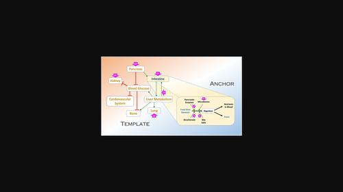 Mathematical models of cystic fibrosis as a systemic disease.