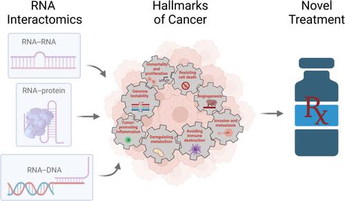 The RNA interactome in the Hallmarks of Cancer.