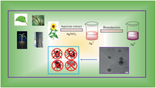 An Insight into the Insecticidal Activity of Green Synthesized Silver Nanoparticles