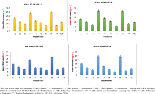 Direct-Seeded Rice + Brahmi (Bacopa monnieri) Intercropping and Weed Management Practices Affects Weed Control Efficiency and Competitive Indices