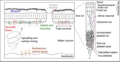 Macronutrient biogeochemistry in Antarctic land-fast sea ice: Insights from a circumpolar data compilation