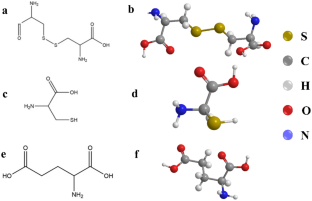 Study on the Inhibitory Effect of Cystine, Cysteine, and Clutamate as Inhibitors on X100 Pipeline Steel in 1 M HCl