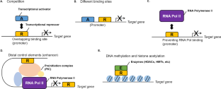 The role and application of transcriptional repressors in cancer treatment