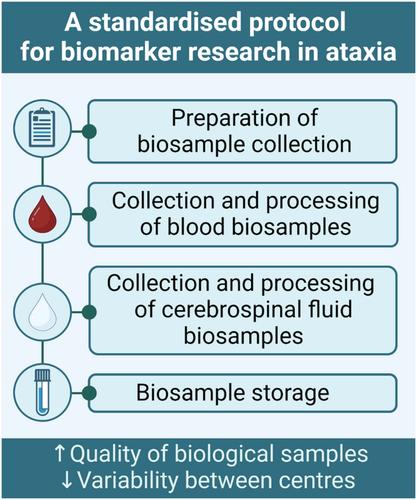 A standardised protocol for blood and cerebrospinal fluid collection and processing for biomarker research in ataxia.