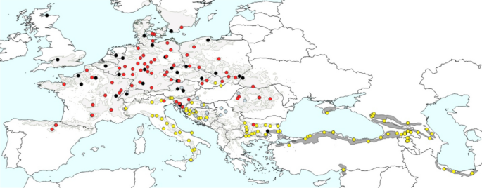 Are there hybrid zones in Fagus sylvatica L. sensu lato?