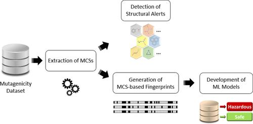 Automated detection of toxicophores and prediction of mutagenicity using PMCSFG algorithm.