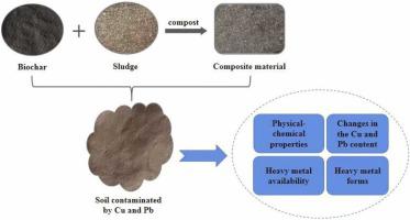 Study on the effects of new developed biochar and sludge composite materials on copper and lead contaminated soil and its remediation mechanism