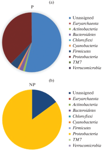 Unraveling the Concealed Microbiome of a Dumpsite and a Conserved Wetland