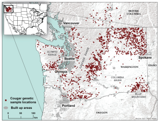 Genetic diversity, gene flow, and source-sink dynamics of cougars in the Pacific Northwest