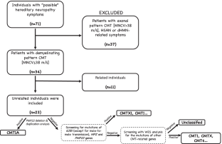 Molecular characterization of Turkish patients with demyelinating Charcot-Marie-Tooth disease