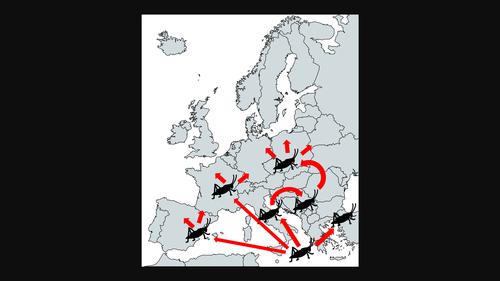 The neglect of nonnative orthopterans as potential invaders: A call for awareness.