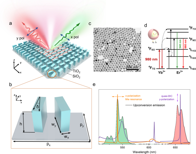 Dual-band polarized upconversion photoluminescence enhanced by resonant dielectric metasurfaces