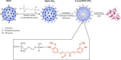 Enhancing of anticancer efficiency of curcumin by functionalization of phosphonate functional group on surface of mesoporous nanosilica