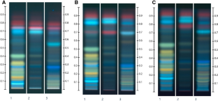 Development of an identification method for fern extracts using high-performance thin-layer chromatography (HPTLC)