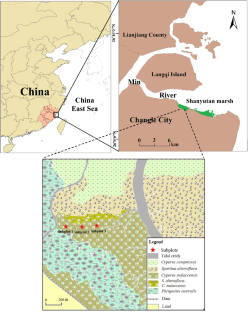 Potential Impacts of Sediment Deposition on Nutrient Variation in Typical Decaying Litters (Cyperus malaccensis) in Coastal Marsh of the Min River Estuary, Southeast China