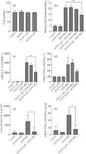 Effect of 4-(Trifluoromethoxy)phenylhydrazone Carbonyl Cyanide (FCCP) on FcεRI-Dependent Cytokine Production by RBL-2H3 Cells