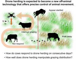 Effects of continuous drone herding on behavioral response and spatial distribution of grazing cattle