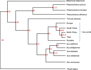 Swine global genomic resources: insights into wild and domesticated populations.