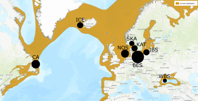 Genome-wide analysis of the harbour porpoise (Phocoena phocoena) indicates isolation-by-distance across the North Atlantic and potential local adaptation in adjacent waters