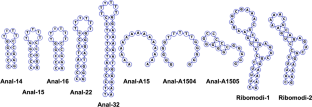 HPLC Retention Behavior of Oligonucleotides on an Anion-Exchange HPLC with a High Concentration of Urea