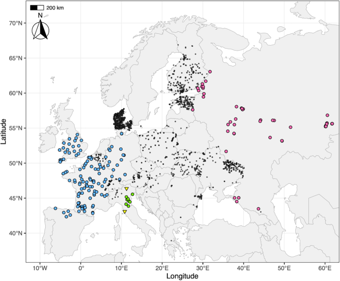 Every branch in its niche: intraspecific variation in habitat suitability of a widely distributed small mammal, the harvest mouse Micromys minutus