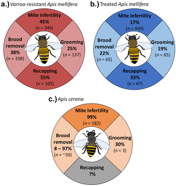 Varroa resistance in Apis cerana: a review