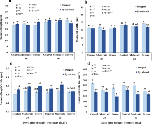 Gas Exchanges and Physiological Responses Differ Among ‘Pyrodwarf’ Clonal and ‘Dargazi’ Seedling Pear (Pyrus communis L.) Rootstocks in Response to Drought Stress