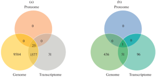 Nonsynonymous Single Nucleotide Substitutions and Indels: Contribution to the Molecular Postgenome Portrait of the HepG2 Cell Line