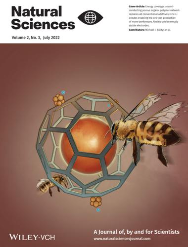 Front Cover: One‐pot synthesis of high‐capacity silicon anodes via on‐copper growth of a semiconducting, porous polymer