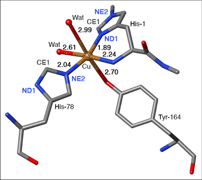 Histidine oxidation in lytic polysaccharide monooxygenase