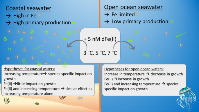 Effect of dissolved iron (II) and temperature on growth of the Southern Ocean phytoplankton species Fragilariopsis cylindrus and Phaeocystis antarctica