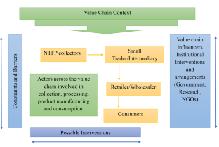 An integrated value chain analysis of non-timber forest products: a case of Jharkhand State of India