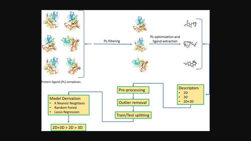 A comparison between 2D and 3D descriptors in QSAR modeling based on bio-active conformations.