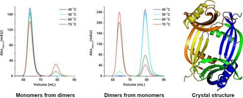 Crystal structure and interconversion of monomers and domain-swapped dimers of the walnut tree phytocystatin