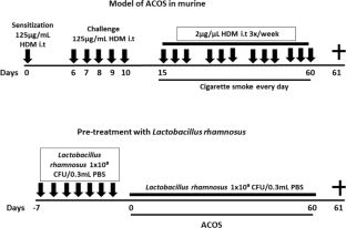 Lactobacillus rhamnosus Modulates Lung Inflammation and Mitigates Gut Dysbiosis in a Murine Model of Asthma-COPD Overlap Syndrome.