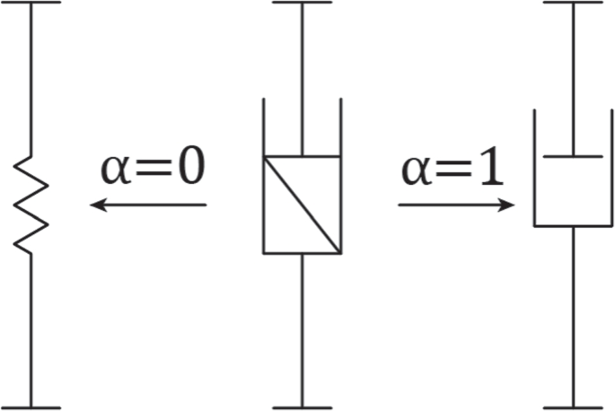 Fractional rheology-informed neural networks for data-driven identification of viscoelastic constitutive models