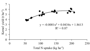 Nitrogen Management Strategies to Improve Crop Performance, Recovery Efficiency and Their Relationship with Physiological Indices in Dry Direct-Seeded Rice