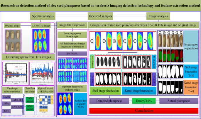 Research on Rice Seed Fullness Detection Method Based on Terahertz Imaging Technology and Feature Extraction Method