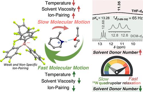 Series of Protonated Nitrogen Bases with a Weakly Coordinating Counteranion: Observation of the 14N–1H Spin–Spin Coupling