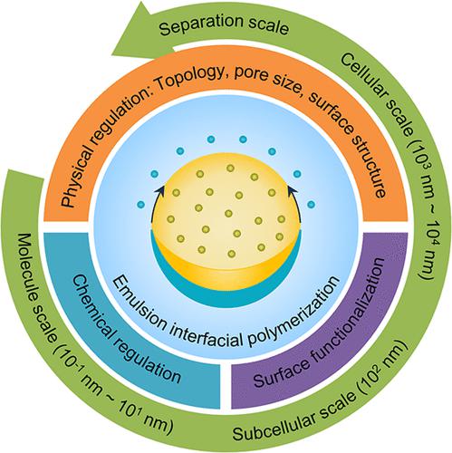 Heterostructured Microparticles: From Emulsion Interfacial Polymerization to Separation Applications