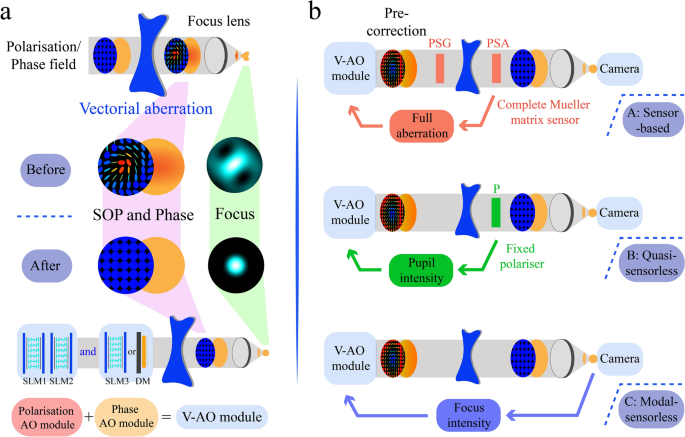 Vectorial adaptive optics