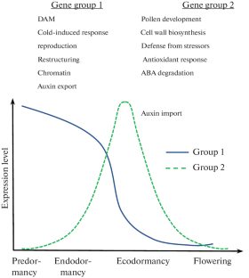 Winter Dormancy of Woody Plants and Its Noninvasive Monitoring