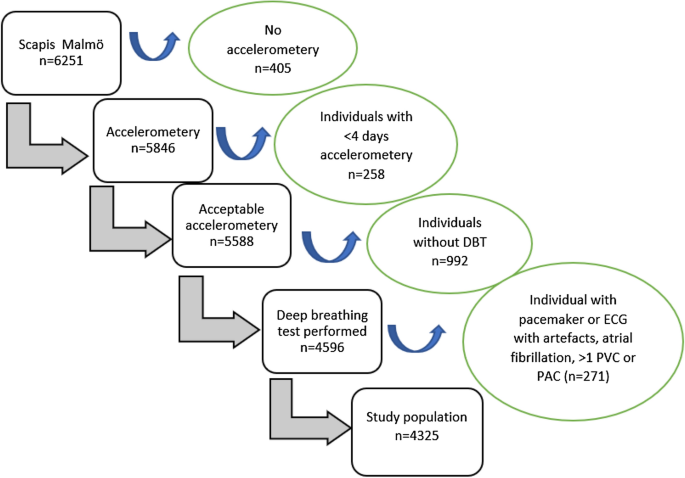 Associations between physical activity and autonomic function during deep breathing test: the Swedish CArdioPulmonary bioImage Study (SCAPIS).