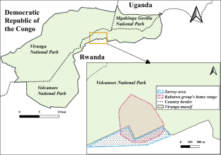 Human-Wildlife Conflict in Golden Monkeys (Cercopithecus mitis kandti) of the Volcanoes National Park, Rwanda