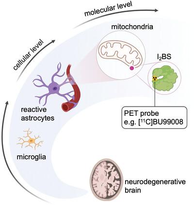 Visualizing reactive astrocytes: Positron emission tomography imaging ligands for imidazoline‐2 binding sites