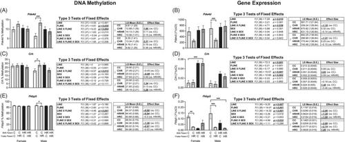 Maternal upbringing and selective breeding for voluntary exercise behavior modify patterns of DNA methylation and expression of genes in the mouse brain